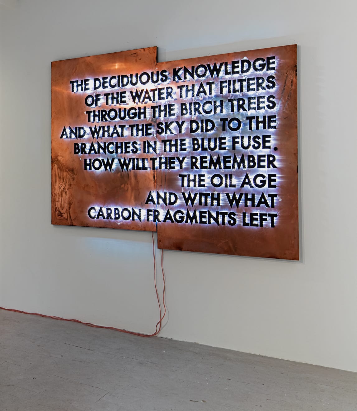 Robert Montgomery, The Deciduous Knowledge, 2016
