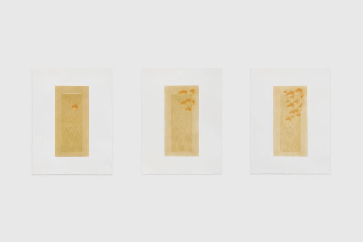 Johnny Izatt-Lowry, A Plank of Wood (On Fire) Parts I, II, III, 2020