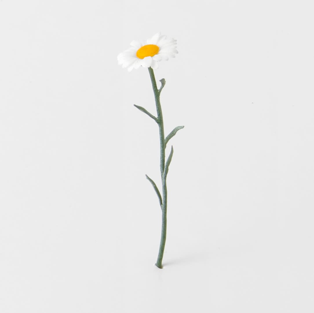 Victor Seaward, Daisies, 2022