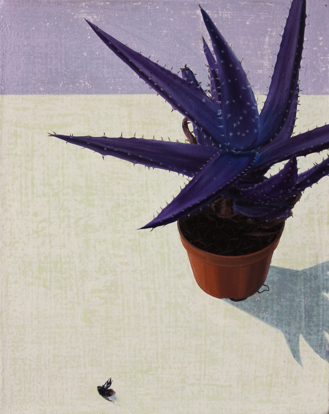 Tristan Pigott, Save The Cacti