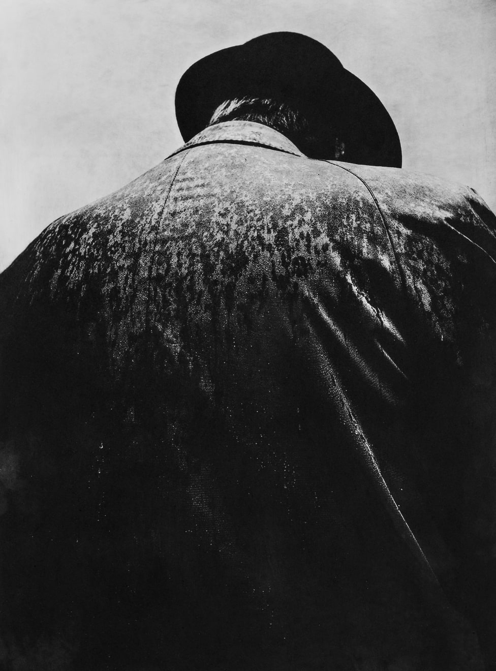 Jack Davison, Untitled, 2022