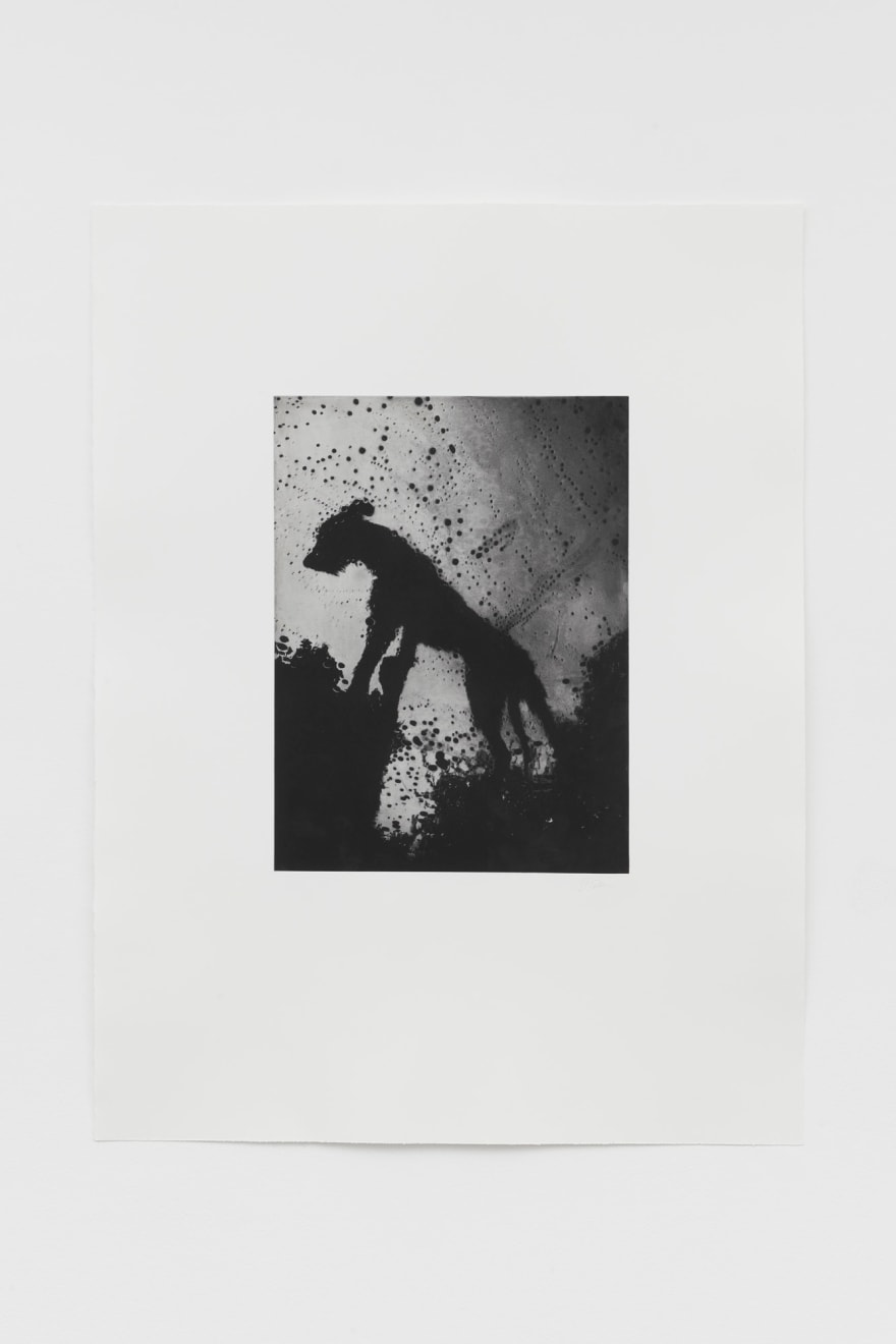 Jack Davison, Untitled, 2022