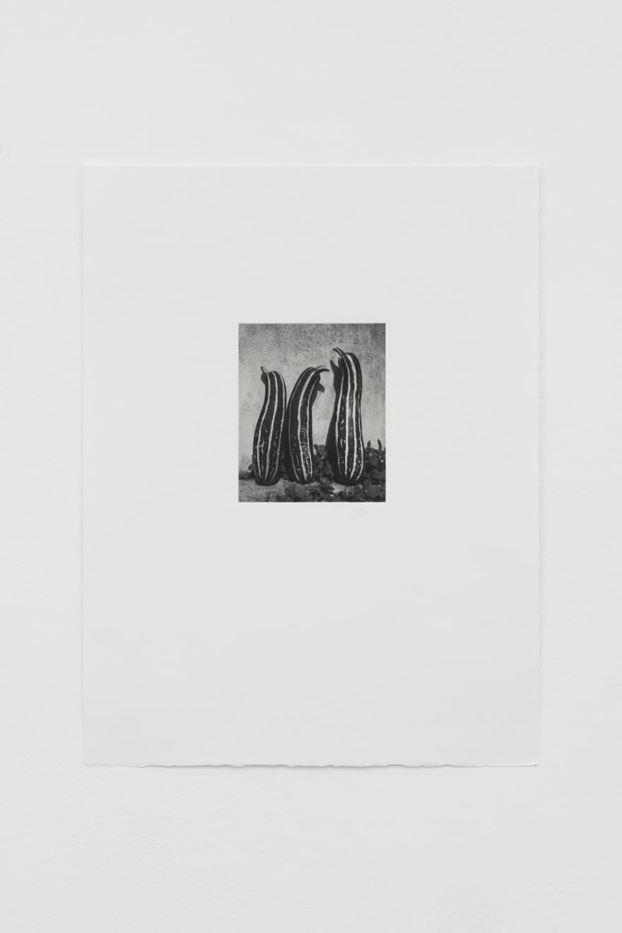 Jack Davison, Untitled, 2022