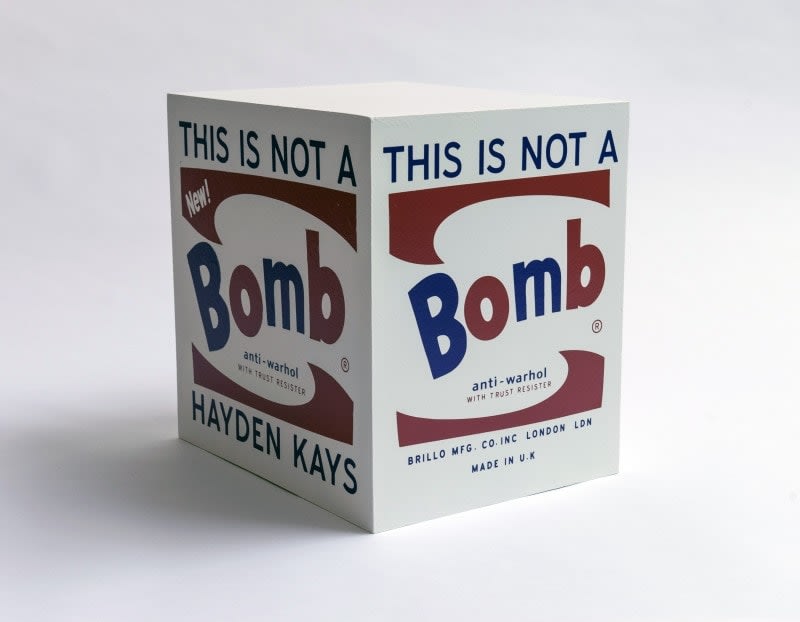 Hayden Kays, This Is Not A Brillo Box, 2015