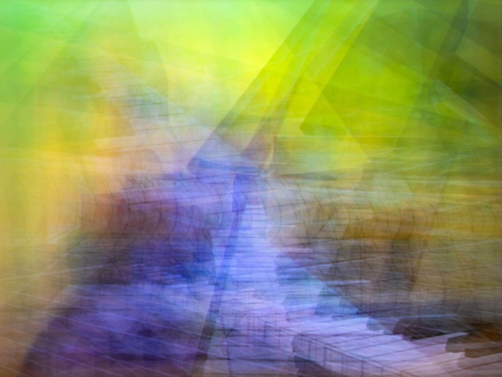 Jason Shulman, Cat Concerto (1947), 2021