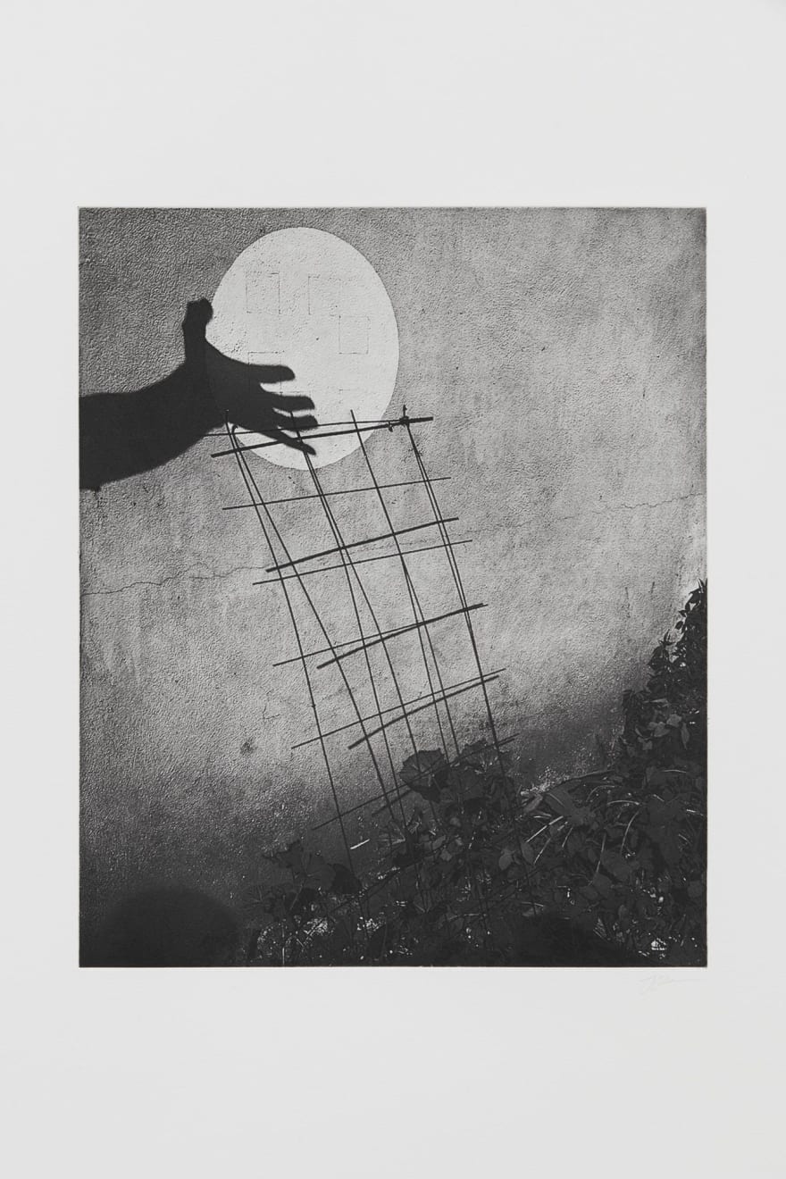 Jack Davison, Untitled, 2022