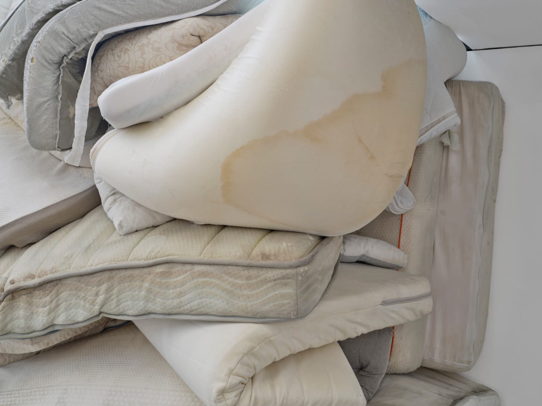 Charlotte Thrane, Big Body, 2024