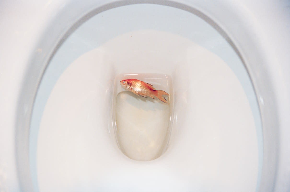 Tom Beard, While You Weren’t Watching, 2010