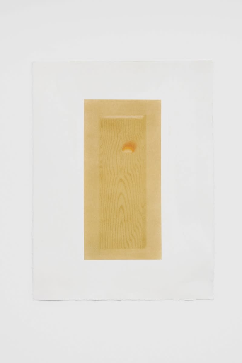 Johnny Izatt-Lowry, A Plank of Wood (On Fire) Parts I, II, III, 2020