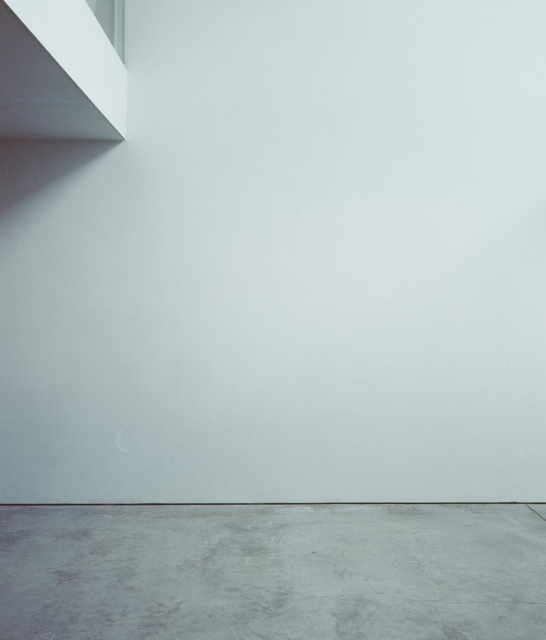 Marie Kaus, Fall Print, 2015