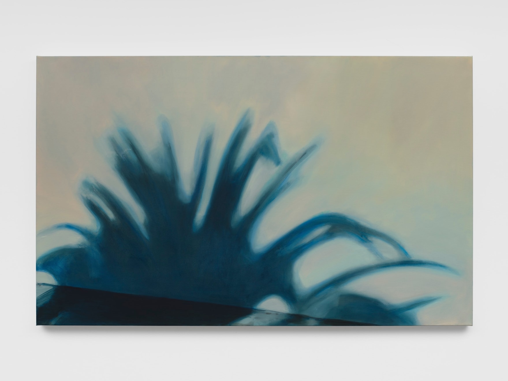 Aglaé Bassens, Palm Shadow, 2021