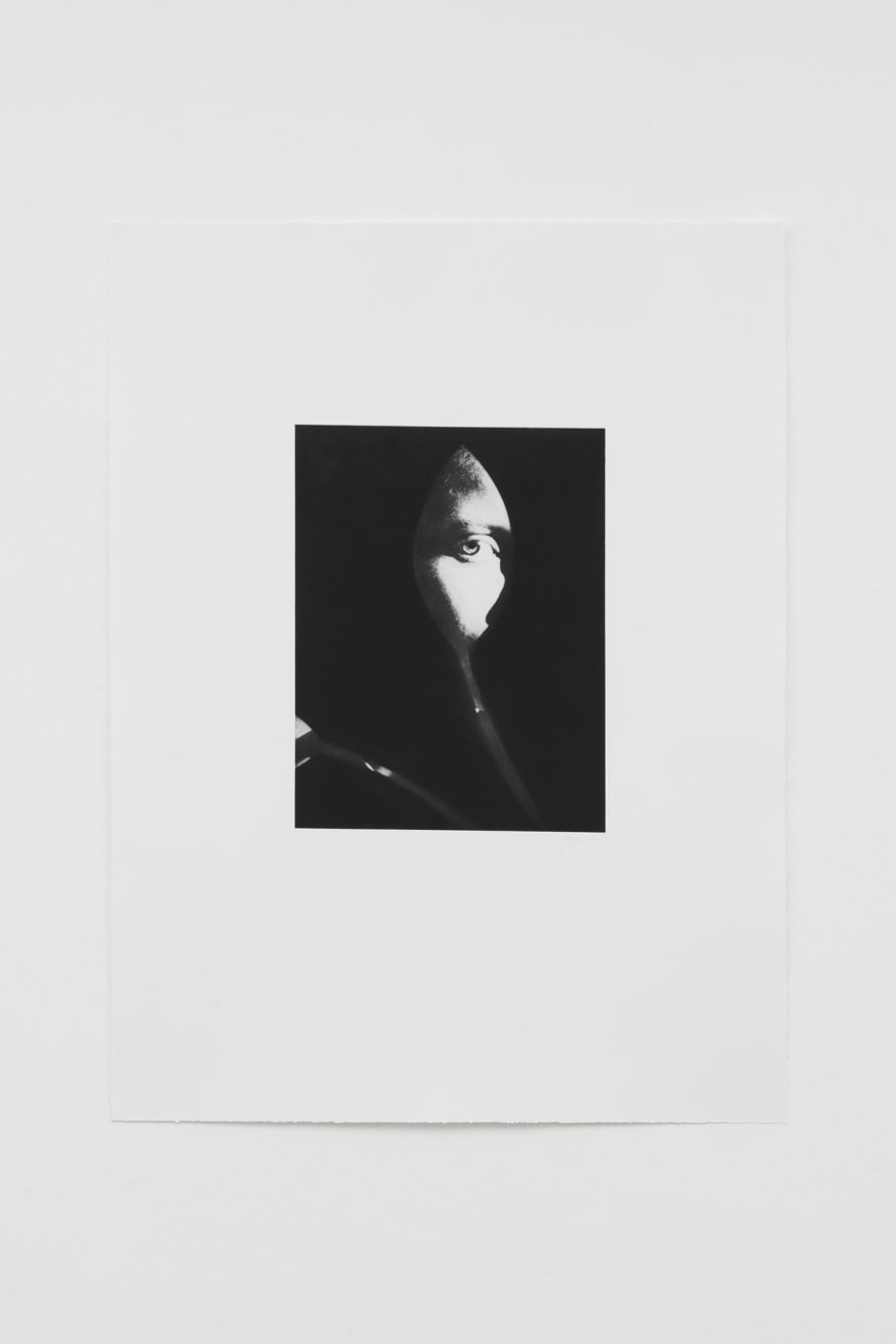 Jack Davison, Untitled, 2022