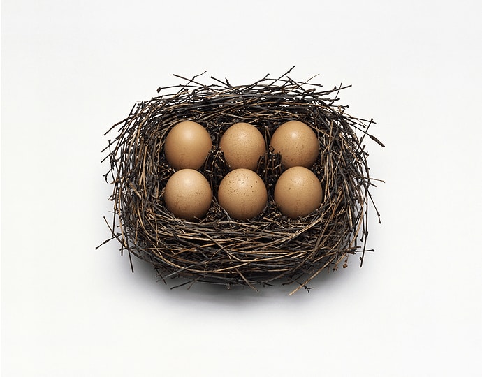 Nancy Fouts, Nest, 2016