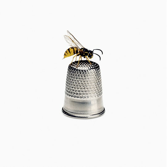 Nancy Fouts, Wasp, 2016