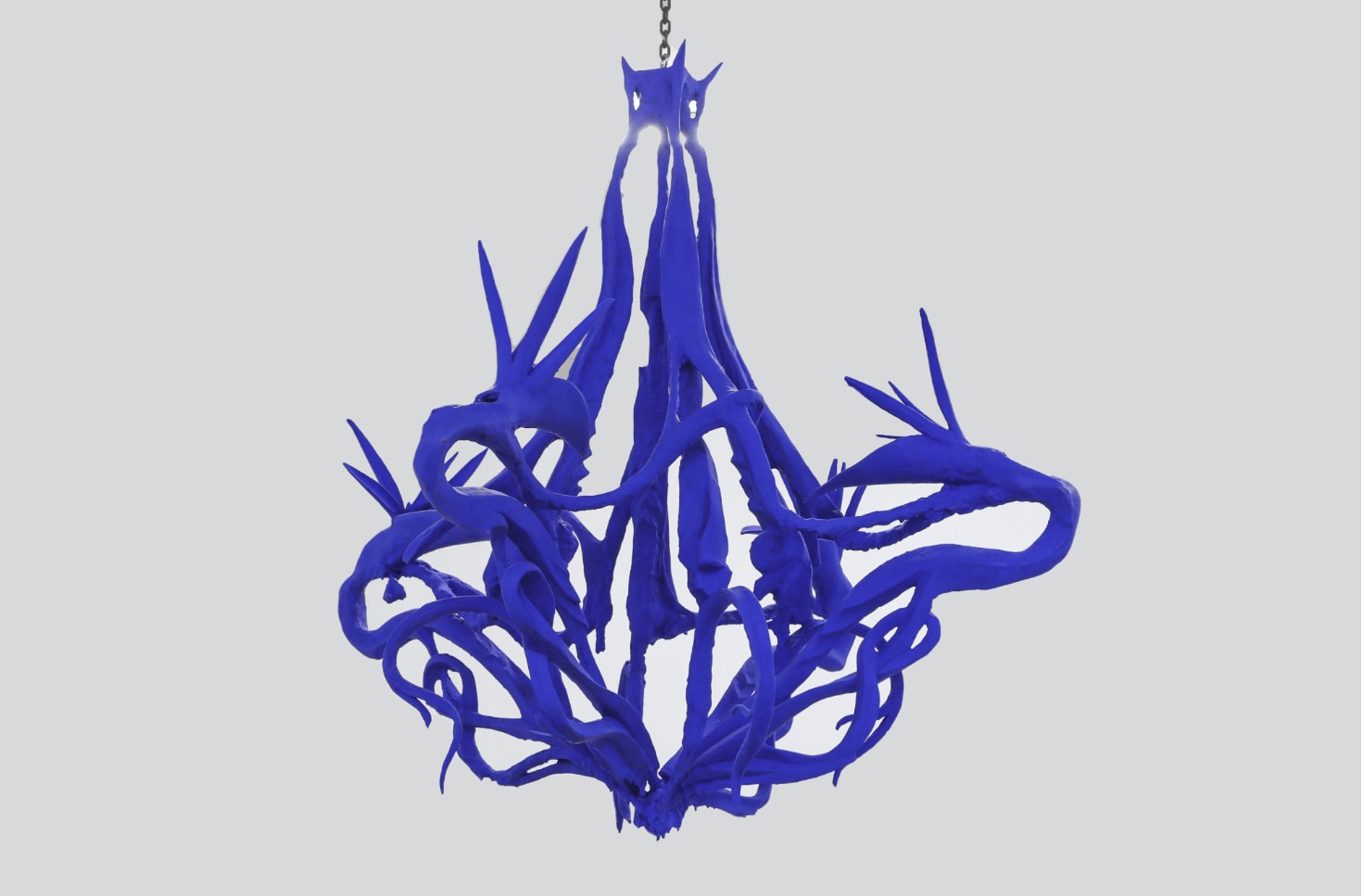 Étienne Marc, Strelitzia, 2020