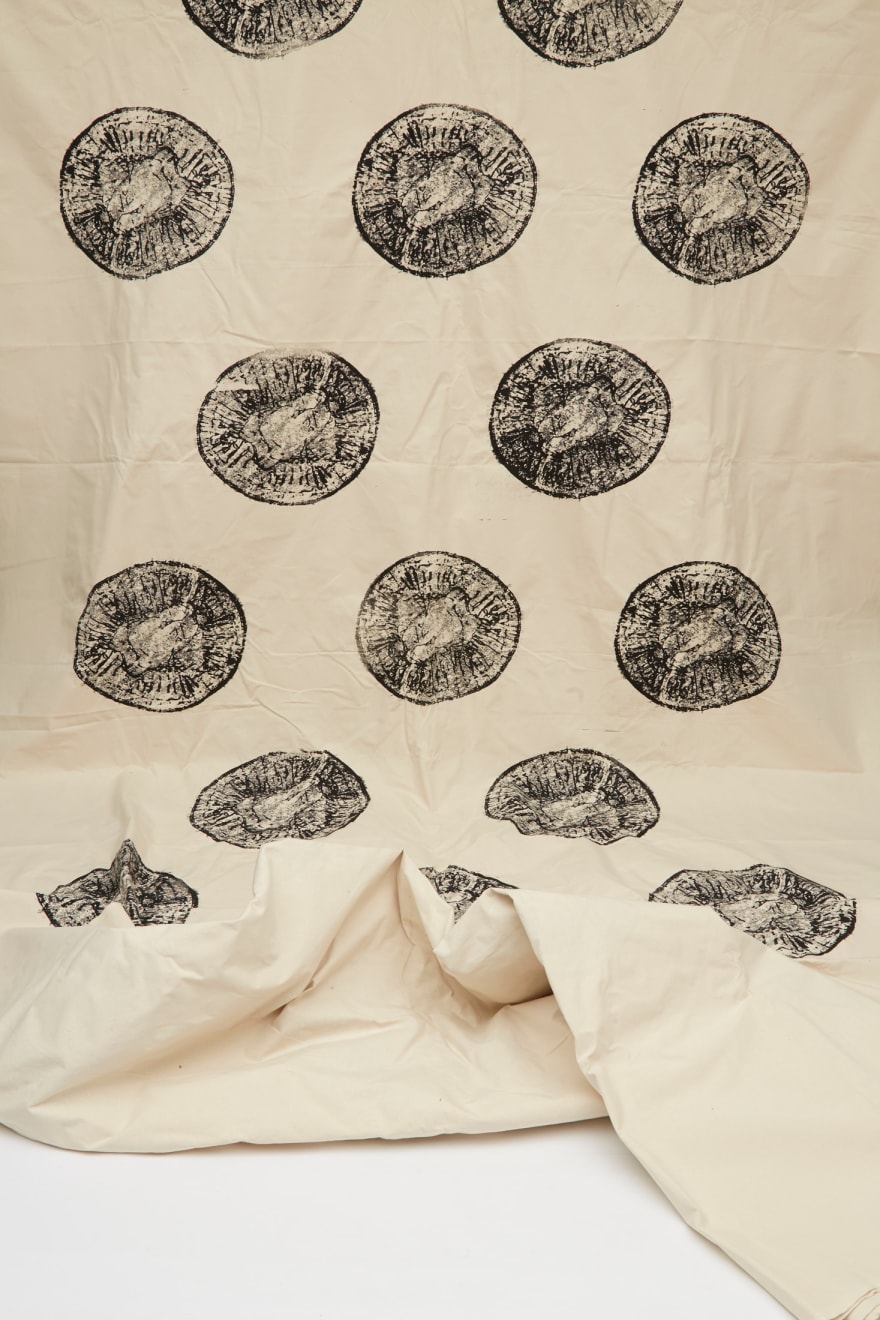 Joe Sweeney, Pie Tin Wallpaper, 2017