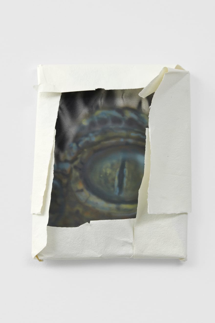 Jack Jubb, Gift-wrapped crocodile painting (for a friend), 2022