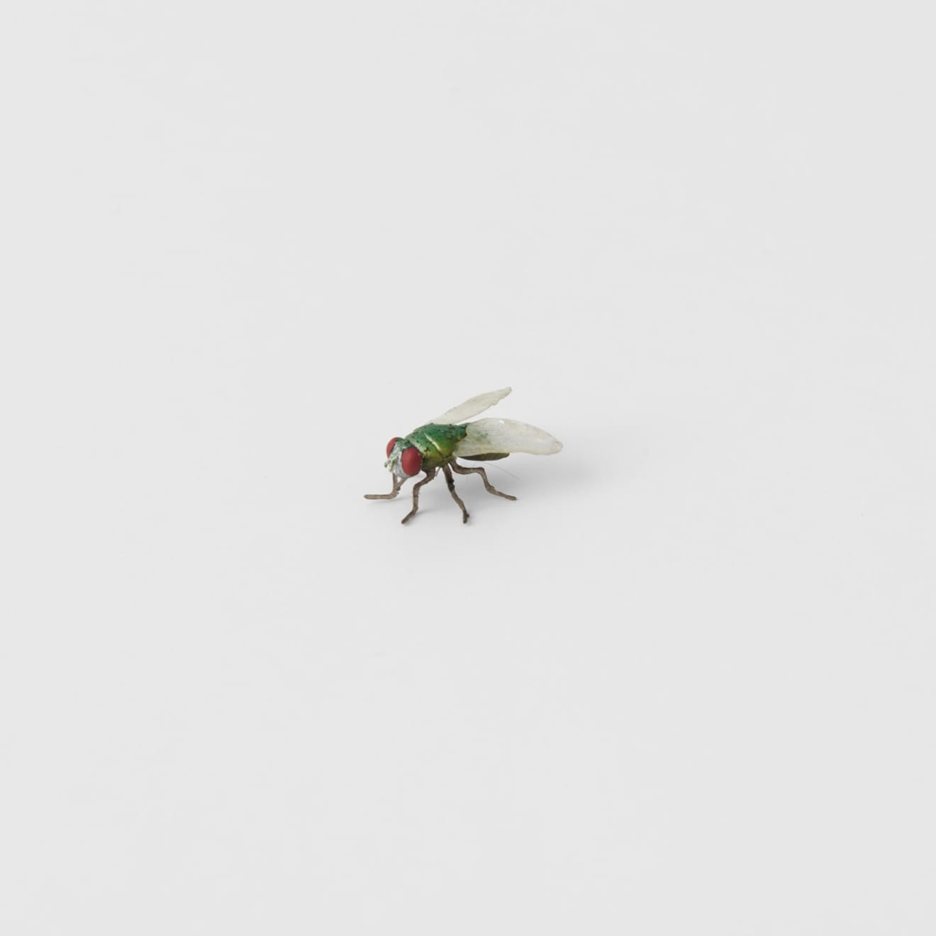 Victor Seaward, A Fly, 2023