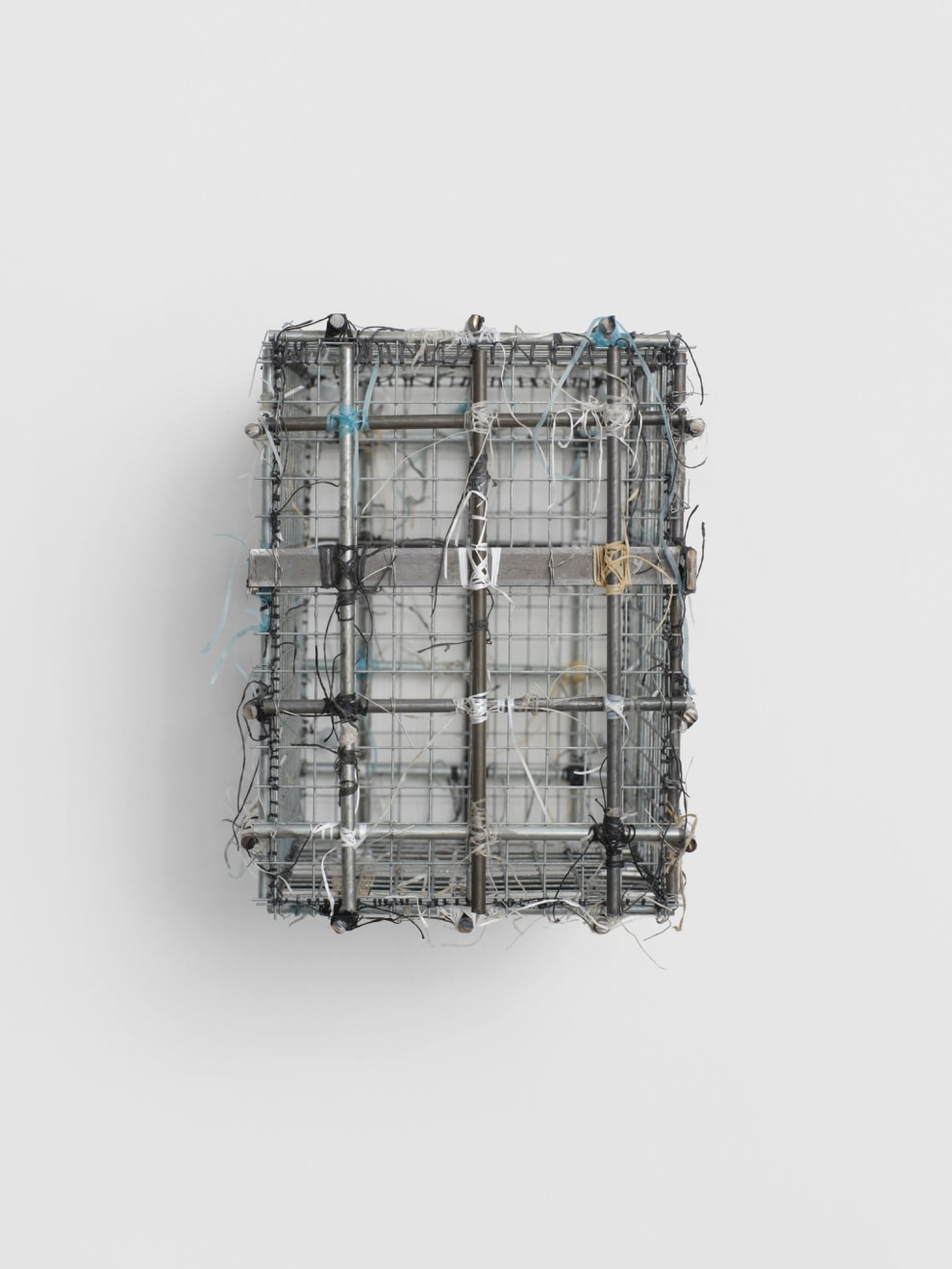 Sylvie Hayes-Wallace, Cage (Head) #2 or Love, 2023