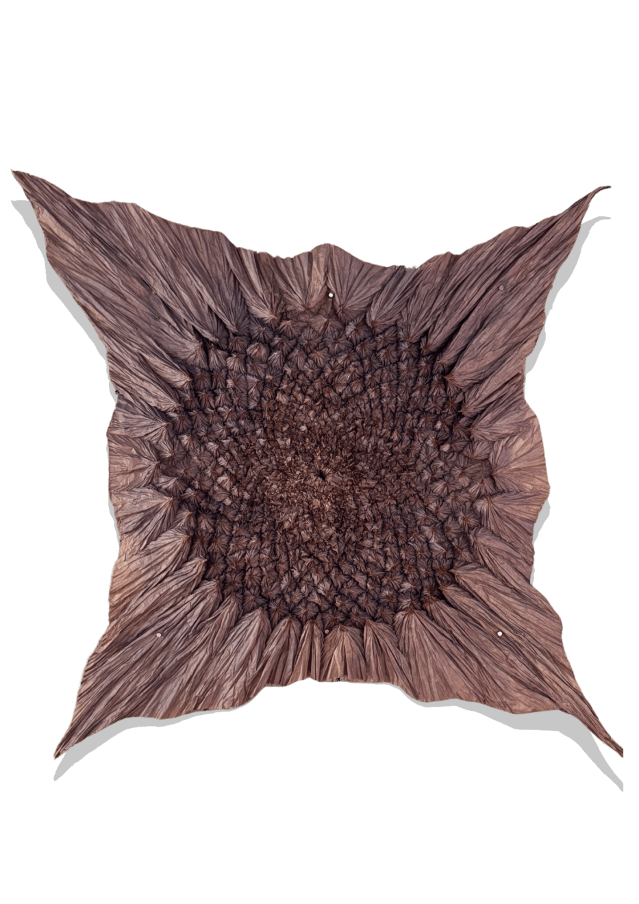 LUIS MATÍAS SANTOS, LA PERFECTA