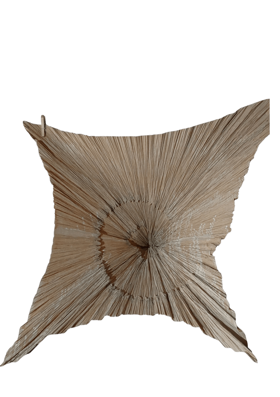 LUIS MATÍAS SANTOS, 1.1.1 ESPIRAL