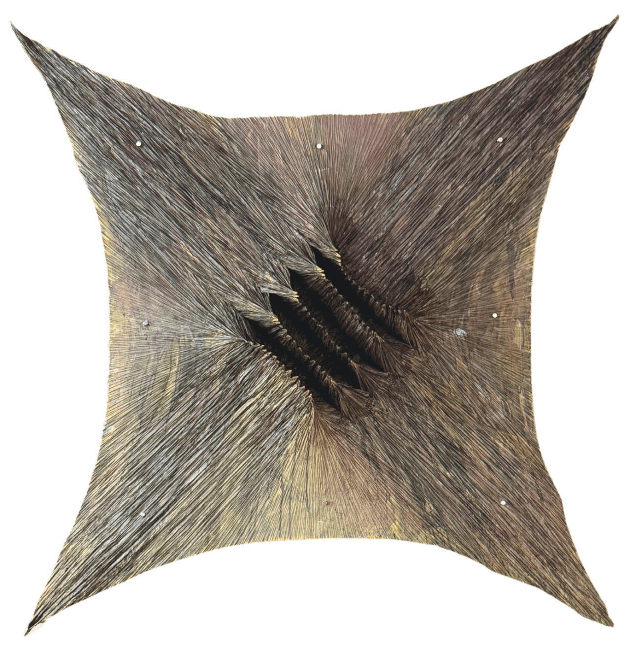 LUIS MATÍAS SANTOS, 5.4 LÍNEAS ORO