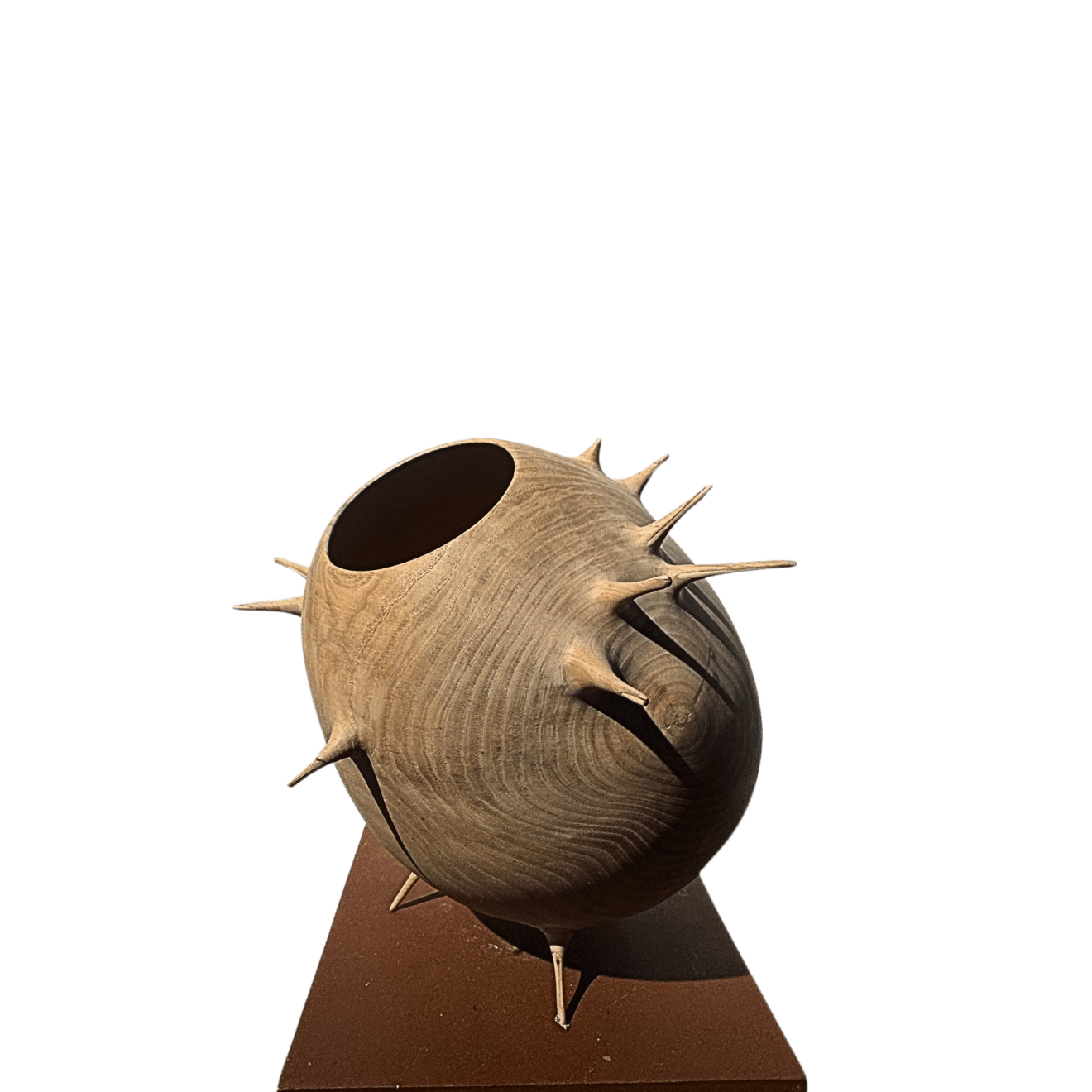 TONI PORTO, CASTAÑO ASTURIANO