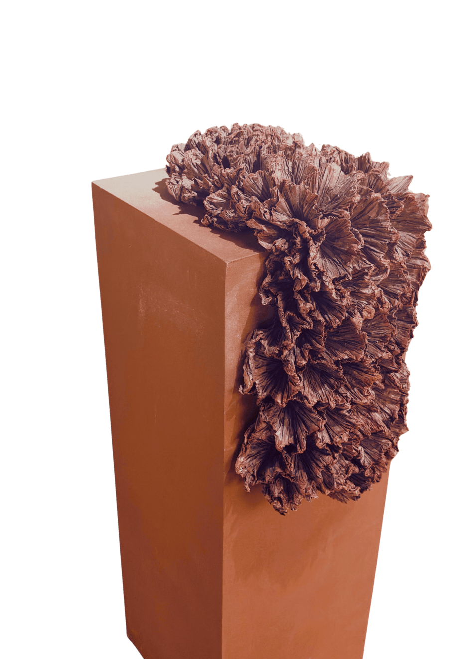 LUIS MATÍAS SANTOS, FUERZA DE DAVID