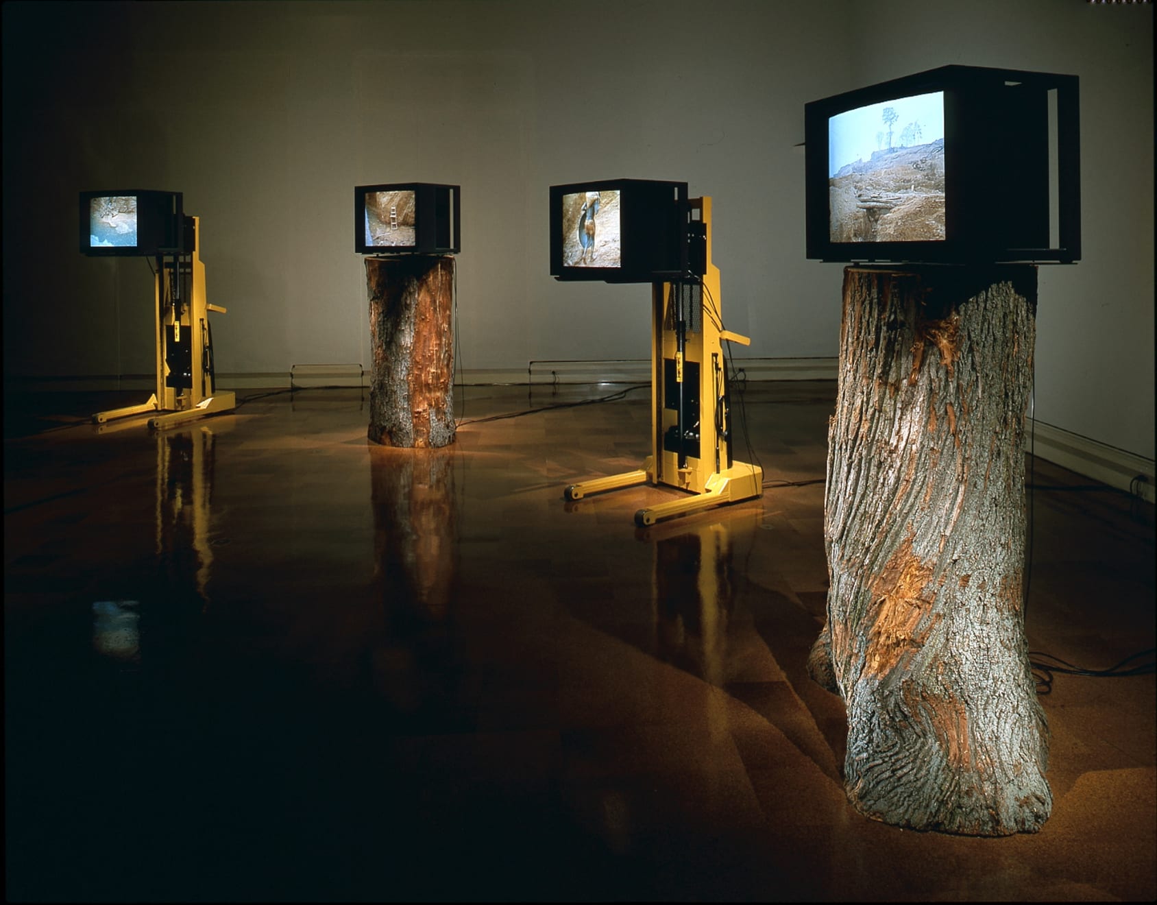 Mary Lucier, Noah's Raven, 1993