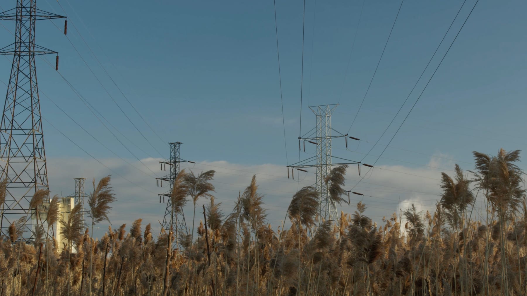 Joan Linder, 24/7, 2024