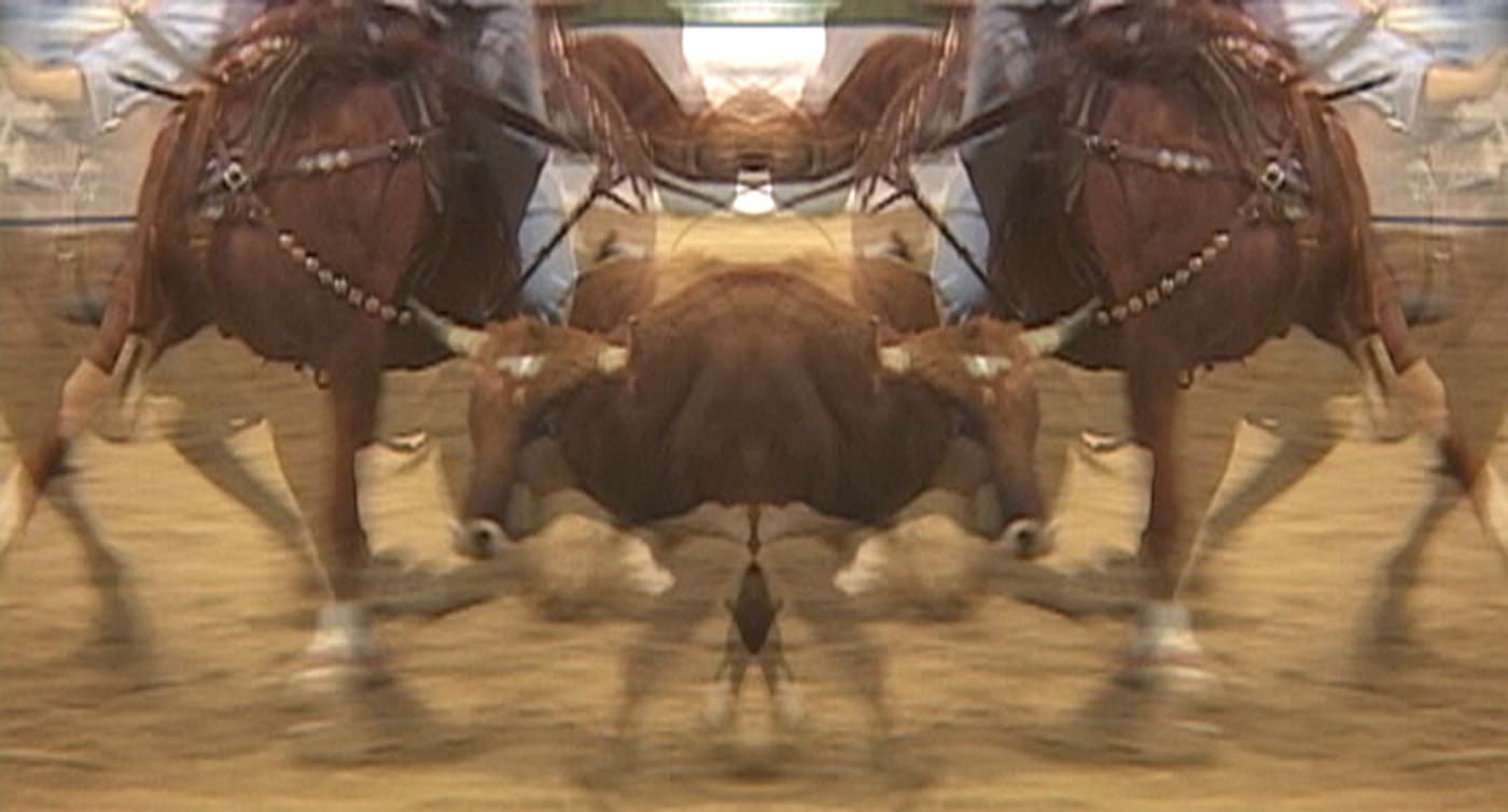 Mary Lucier, Arabesque, 2004