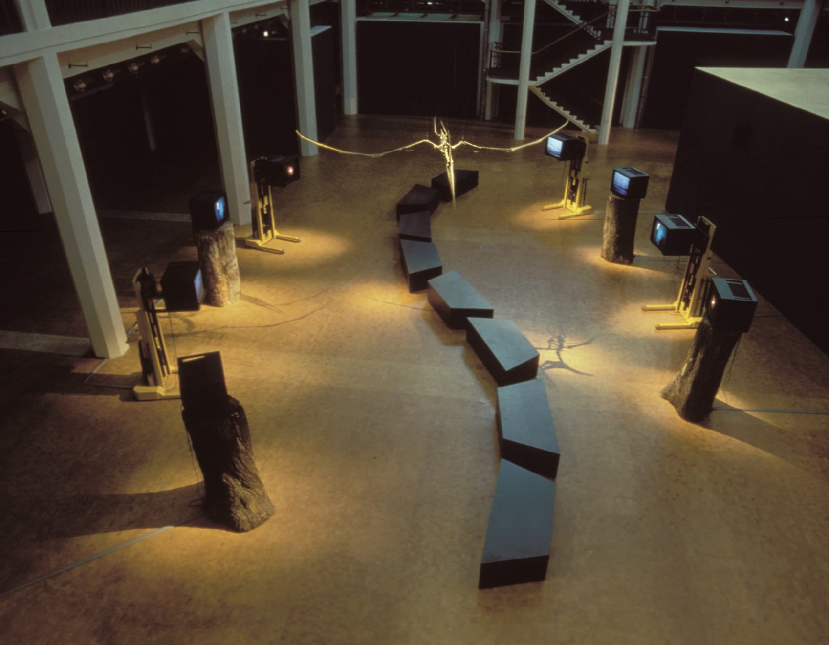 Mary Lucier, Noah's Raven, 1993