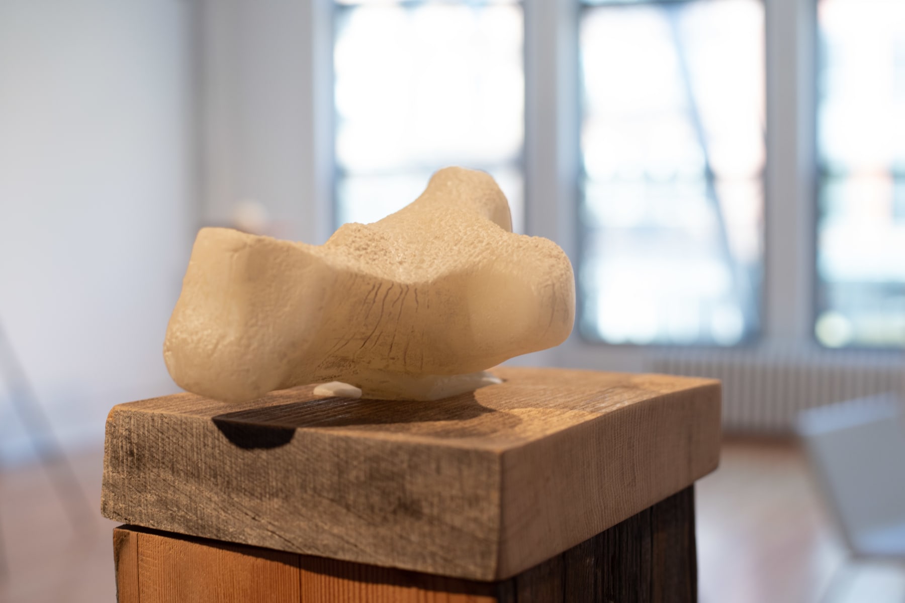 Malia Jensen, Foot, 2020