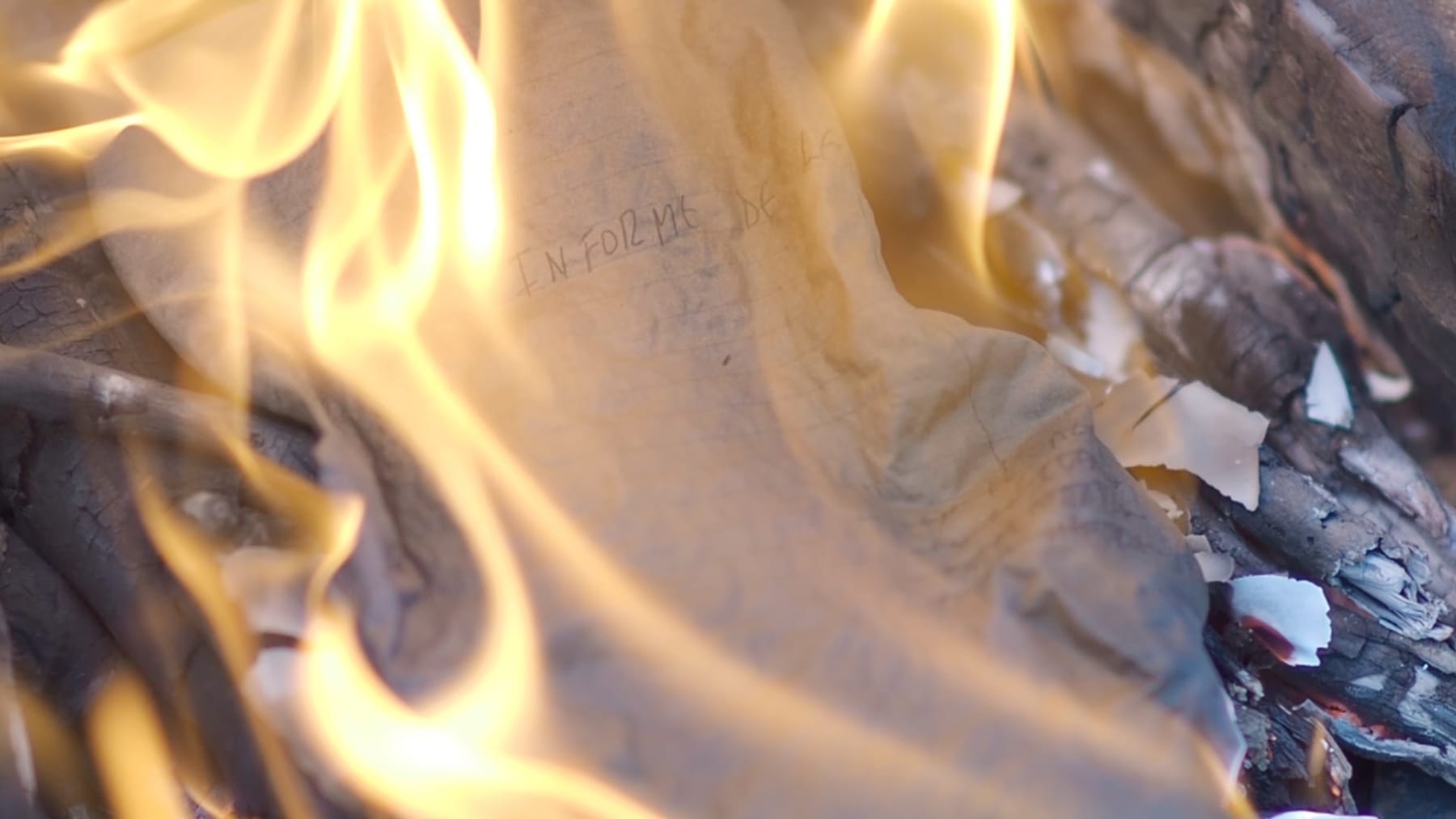 Jorge Tacla, Informe de Lesiones, Injury Report, 2016