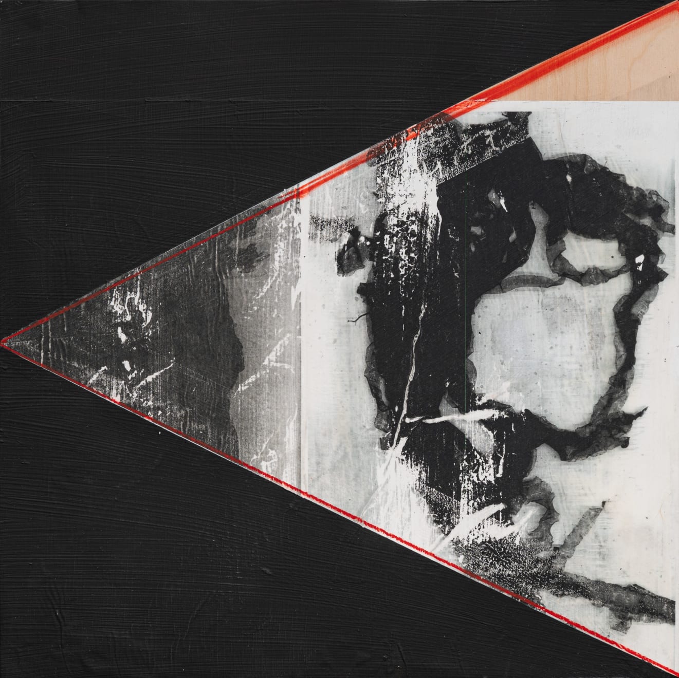 Sara Siestreem (Hanis Coos), sugar kelp, 2025