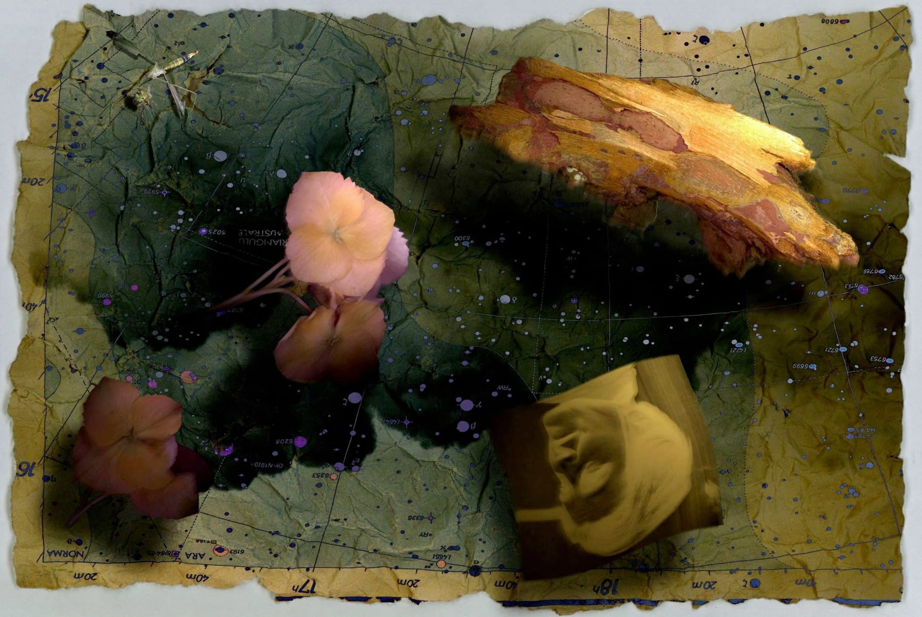 peter campus, aftermath, 1995