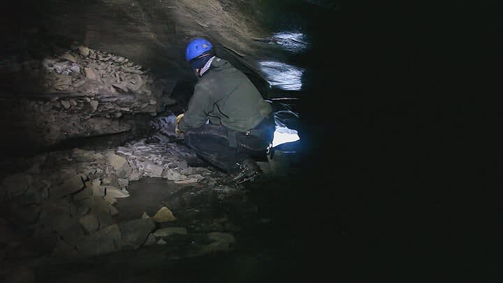 Janet Biggs, In the Cold Edge, 2010