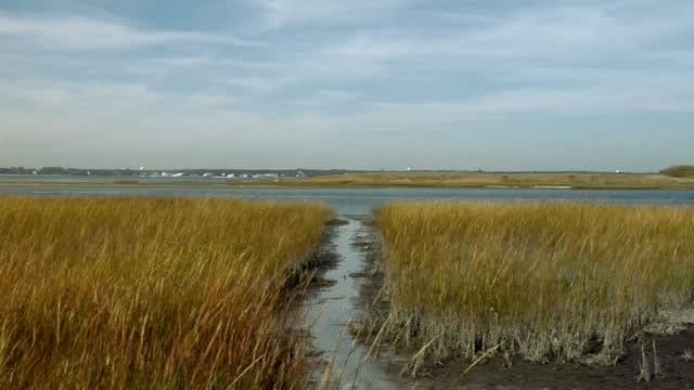 peter campus, a tear in the fabric, 2007