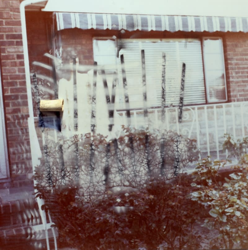 Simon Lee, She's been through enough to Break a Mule, 2013