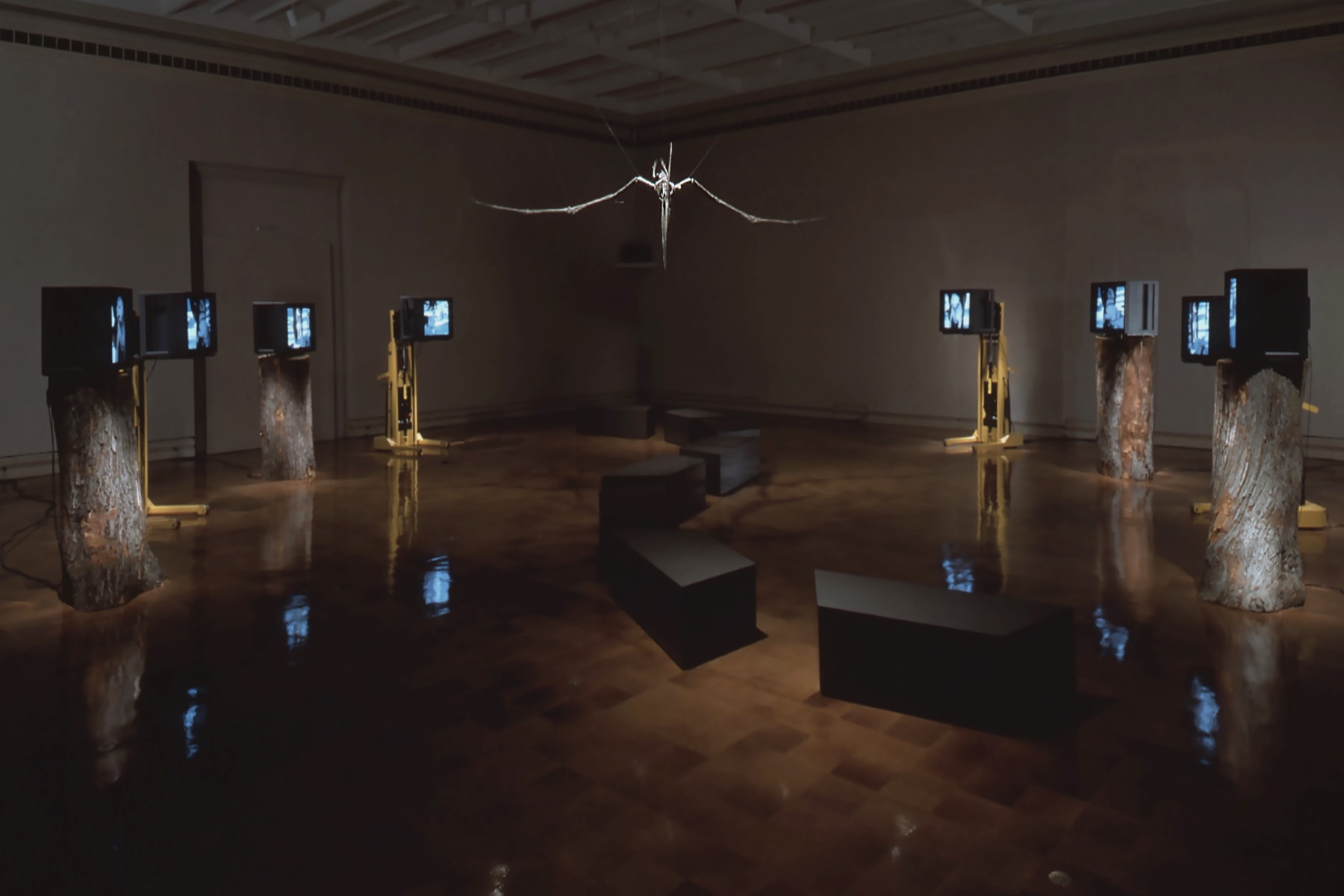 Mary Lucier, Noah's Raven, 1993