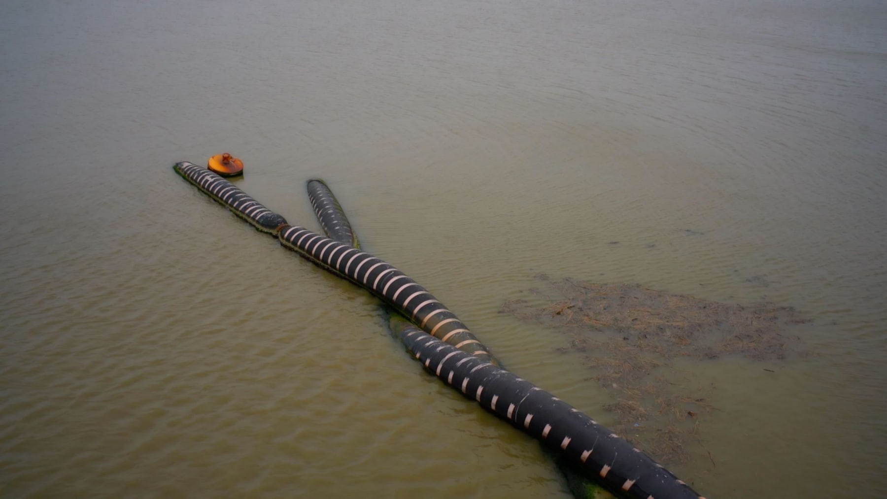 peter campus, tubes, port de st.-nazaire, 2016