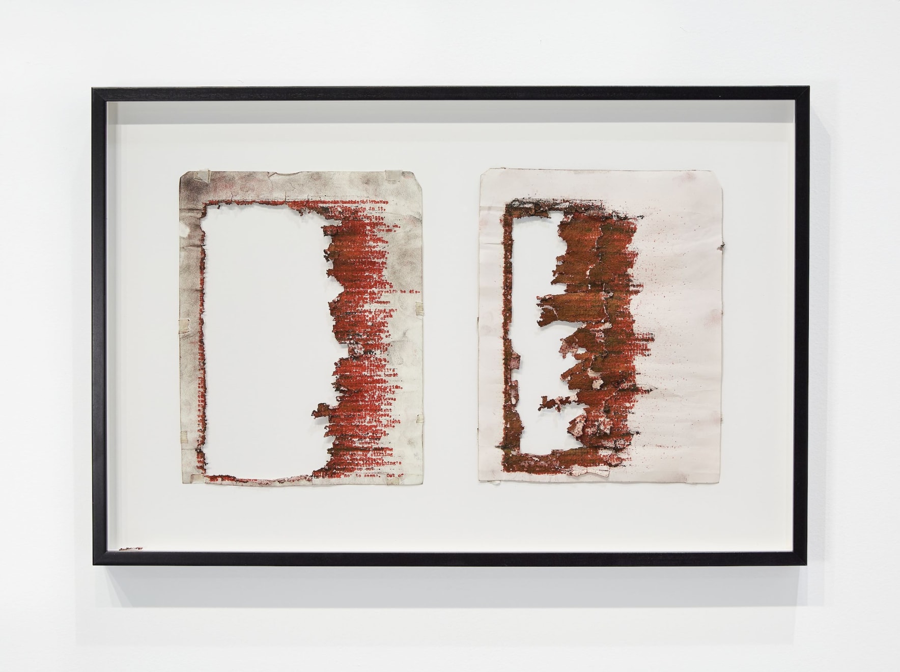 Tim Youd, Elizabeth Bishop's The Complete Poems, 1927-1979, 2018