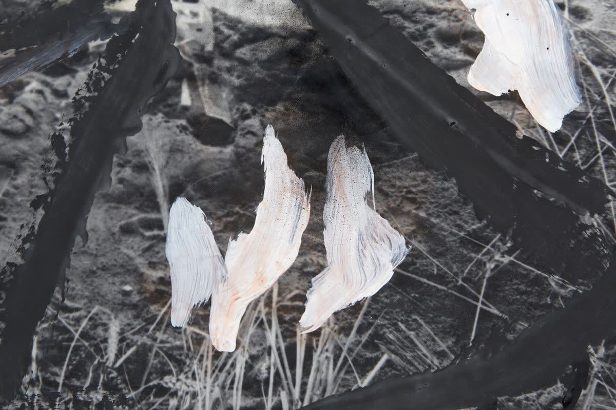 Anselm Kiefer, Johannisnacht, 1980