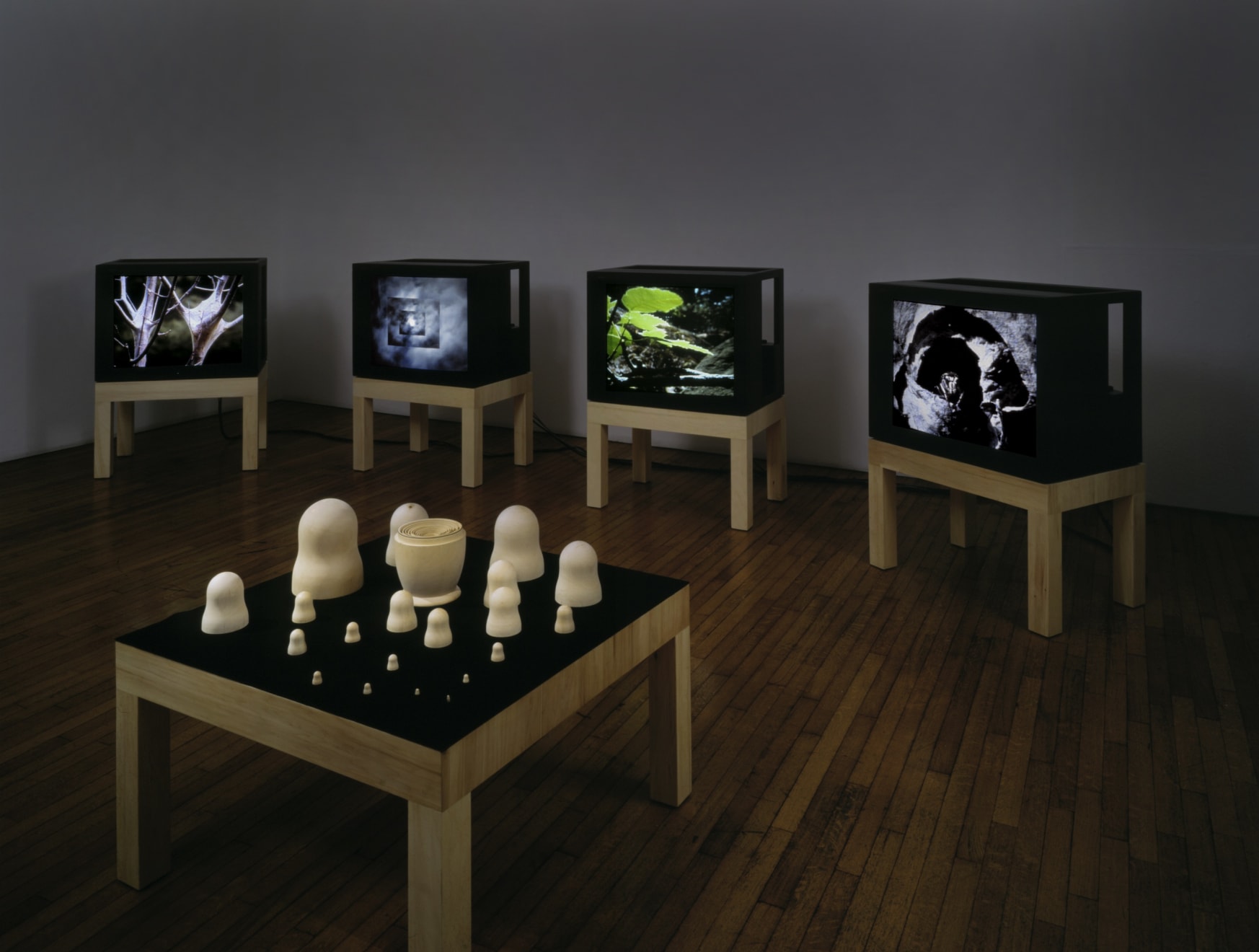 Mary Lucier, Nesting, 2000