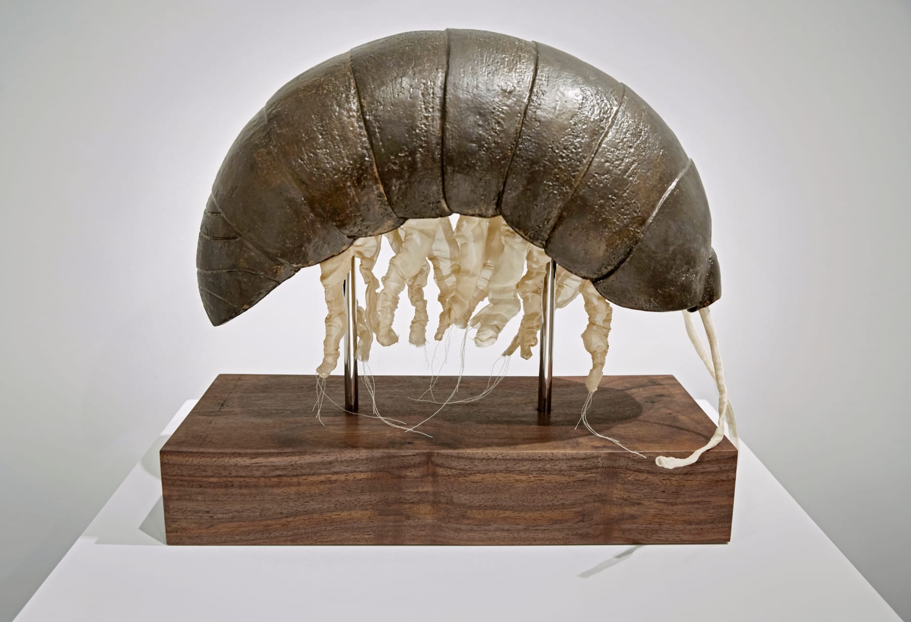 Malia Jensen, Portrait of the Artist as a Young Pill Bug, 2018