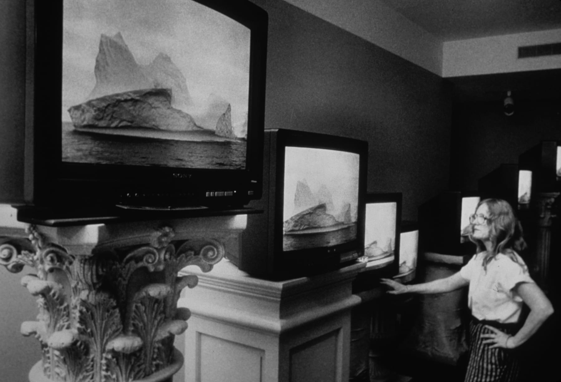 Mary Lucier, Wilderness, 1986