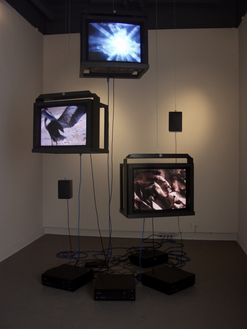 Mary Lucier, Aspects of the Fossil Record, or From Here On, Dance, 1996