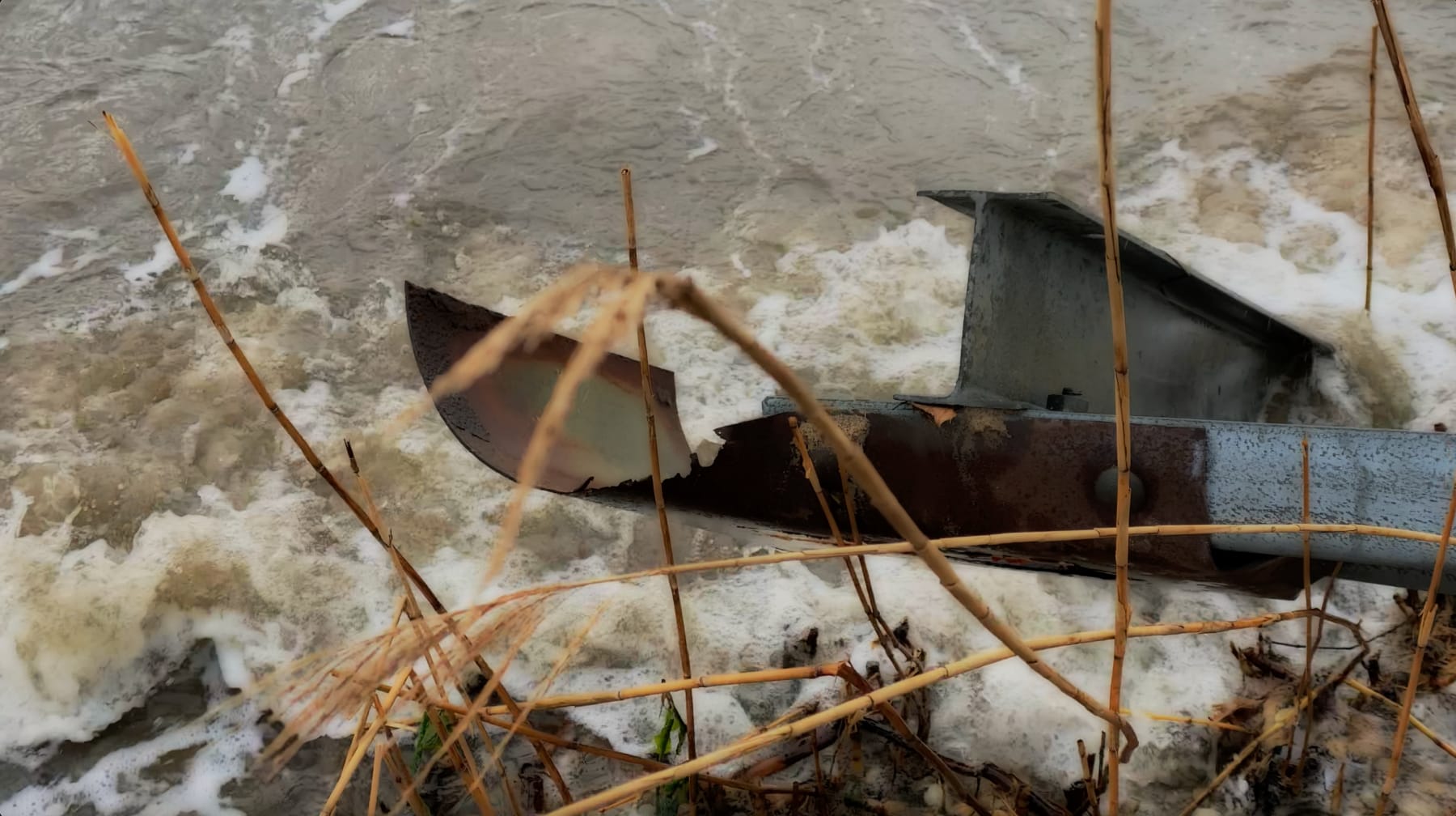 peter campus, iron bellport bay, 2023