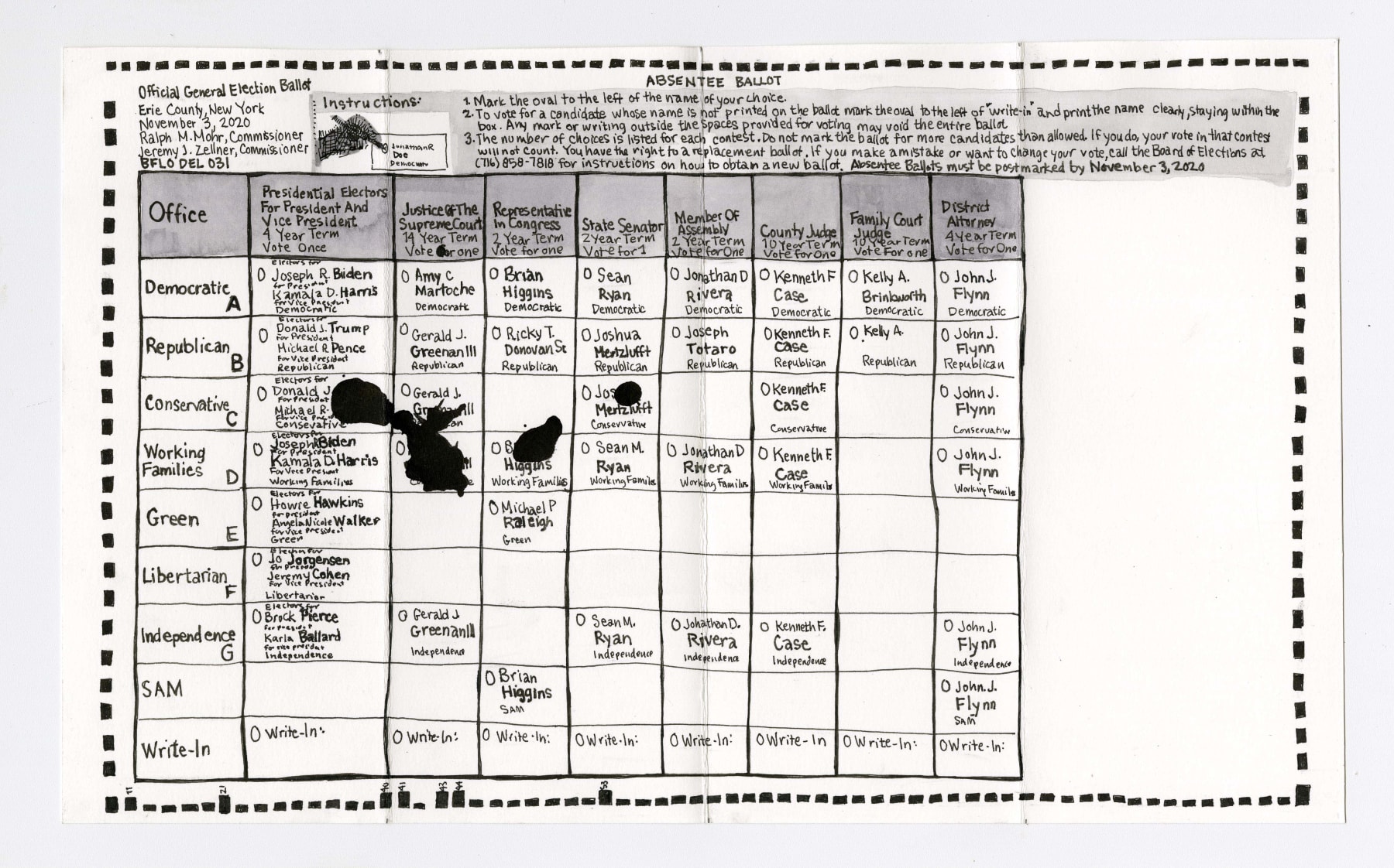 Joan Linder, Mail-In Ballot, 2020