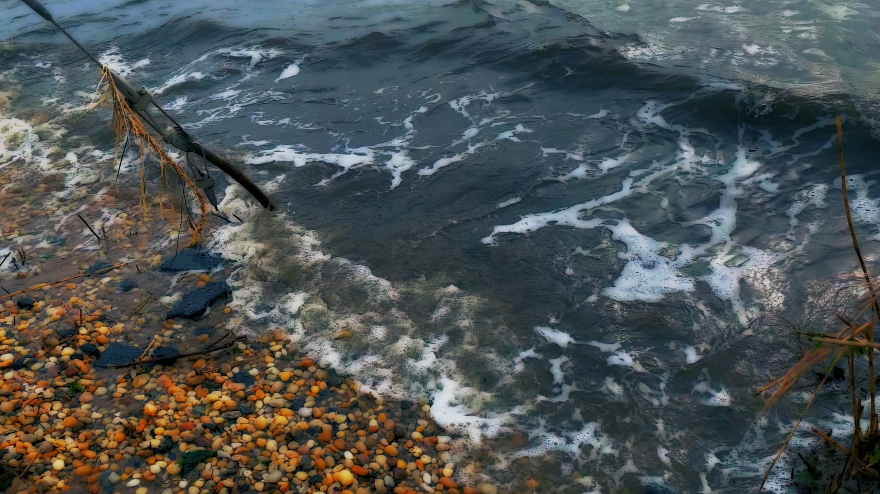 peter campus, anchor, 2023